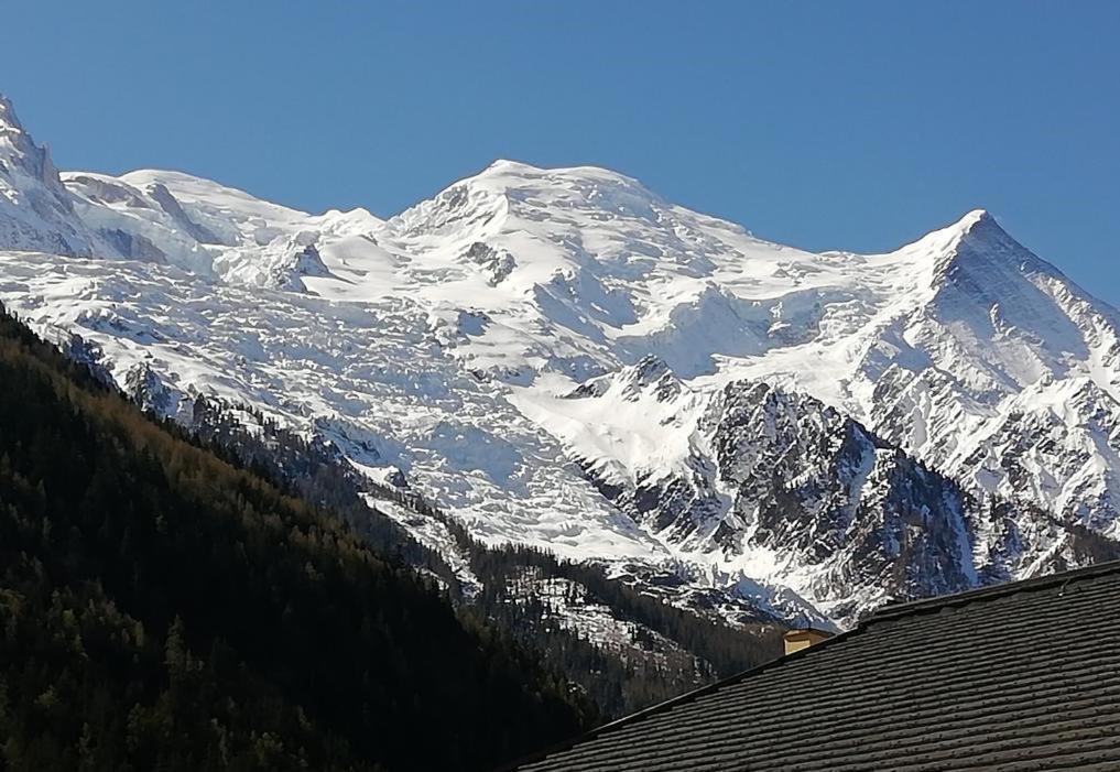 Studio With Balcony, Mt Blanc View, Parking, Center Of Шамоні Екстер'єр фото